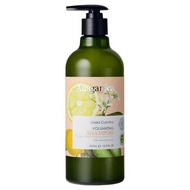 Ausganica 山蒼子豐盈洗髮露 500ml