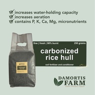 Carbonized Rice Hull 250g