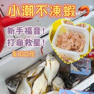 < Guangcheng Fishing Tackle > [Non-Frozen Shrimp] Frozen Bait Neap Trendy Non-Frozen Shrimp Orgasm O