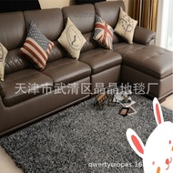 Elastic Flag Bedroom Foyer Carpet Wholesale Floor Mat Bright Silk Carpet Living Room Bedside Thicken