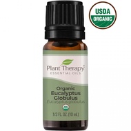 Plant Therapy Eucalyptus Globulus Organic Essential Oil