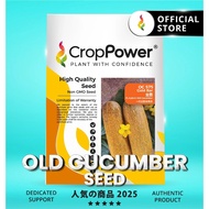 HOT ITEM🔥 (100 SEEDS) Biji Benih Timun Tua Gold bar 金霸 OC575 CROP POWER F1 HYBRID Old Cucumber Seeds