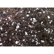 Peat Moss-Perlite Blend - Soil-less media - 1Kg