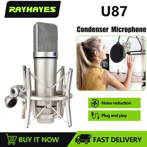 RAYHAYES U87 Condenser Microphone Professional Cardioid Studio Mic for Podcasting Streaming Home Stu