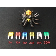 Mini Fuse Teeth 5Amp, 10Amp, 15Amp, 20Amp, 25Amp and 30Amp 1Set(6pcs)