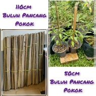 PANCANG PANCING BAMBOO BULUH GARDENING PLANT STAND PAGAR POKOK HIASAN KEBUN 25 BATANG 3.2KG