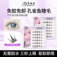 bulu mata palsu magnetic eyelash Guppy Guppy Guppy Percuma Guppy Bulu Mata Palsu Kapasiti Besar Gum 