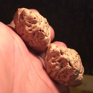 Grimace Bodhi Wenwan Walnut Five-Star Facebook Qiankun Core Starry Apple Garden White Lion Bodhi See