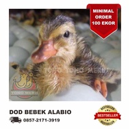 DOD Anak Bebek Alabio