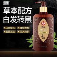 Bawang Shampoo Bawang Polygonum multiflorum white hair turns black oil control fluffy anti-hair loss