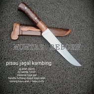 PISAU GOLOK SEMBELIH KAMBING QURBAN SUPER TAJAM