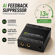 AI Smart Anti-Howling Feedback Suppressor Portable DSP Microphone Audio Noise Canceller Feedback Eli