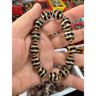 Agate Dzi Bracelet Elastic Bracelet Double Tiger Dzi Bracelet Free Certificate