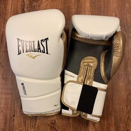 2025 NEW EVERLAST Boxing Gloves Sanda Boxing Gloves Muay Thai Latex Liner Adult Male Professional Tr
