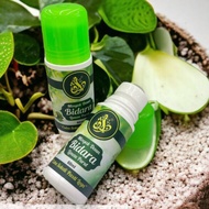 Premium Minyak Daun Bidara limau purut Lowest Price