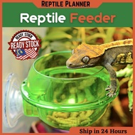 Reptile Feeder Feeding Food Water Bowl Plate Anti-escape Gecko Snakes Chameleon Iguana Lizard（爬虫食盆/水盆）