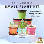 Christmas Gift DIY Plant Kit for Kids Goodie Bag Party Gift School Present Door Gift Beginner Plant Kit Children’s day