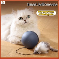 Cat toys Cat electric toys Cat scratch mouse toys Electric cat tease toys
