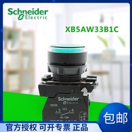 Schneider Lighted Button XB5AW31B1C/33B1C/34B1C/34B2C/35B1C/36B1C Green Red