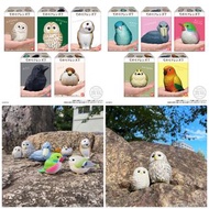 [預訂2026年6月] Bandai 食玩 掌上小動物系列7 小鳥公仔 (英文包裝) TE-NORI FRIENDS 7 (ENG PKG) W/O GUM 一套10款 (原盒12盒) [再販]