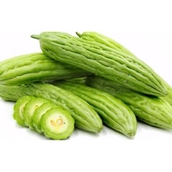 ready fresh peria 500gram sedap