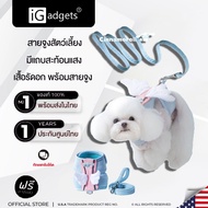 iGadgets Pet Harness With Leash Angel Wings Premium Grade With Reflective Strips S/M/L 150cm.