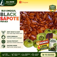 PREMIUM BLACK SAPOTE TROPICAL FRUIT SEEDS (Per Seed)