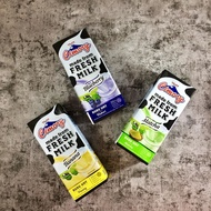 Cimory UHT BLUEBERRY 250 ml SUSU CIMORY UHT 250 ML RASA BARU 1 Pc Cimory Fresh Milk Susu Pasteurisas