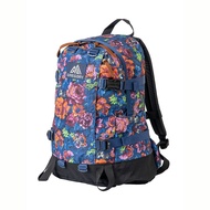 GREGORY All Day V2.1 Backpack 24L - Luminous Tapestry