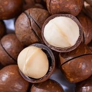 [HALAL] [GuoYunGe] macadamia nuts/ macadamia nuts roasted macadamia nuts/ Hawaii nuts 250g