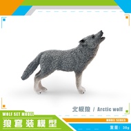 Simulated wild animal wolf model childrens cognition gray wolf growling wolf walking wolf arctic wol