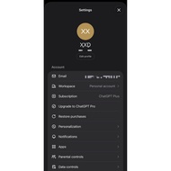 Open AI plus subscribe self account