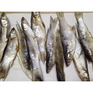 ikan masin / ikan kering / ikan masin belanak / ikan kering belanak / ikan belanak kering / aneka ik