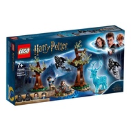 TANSH LEGO 75945 EXPECTO PATRONUM ( HARRY POTTER)