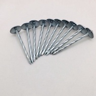 Umbrella Nail  Roofing Nail 2 1/2” Pakong yero