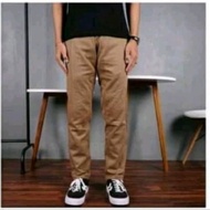 Men's Dickies Chinos Pants Size 27-38