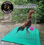 Sangkar kandang besi galvanis kotak kurungan ayam lipat P80L80T80cm / kandang tenggaran auam jago ba