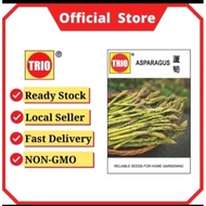 Seed Benih TRIO Sayuran Vegetable Asparagus Non-GMO