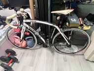 Dedacciai 碳纖維公路車