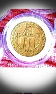 **英國女皇頭一英鎊硬幣一套共13枚(每個圖案不同)