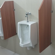 Urinal Divider