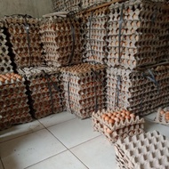 TERLARIS 1 PETI /1 IKAT TELUR NEGERI 15KG MURAH