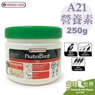 《寵物鳥世界》比利時凡賽爾 歐樂斯Nutribird A21 幼鳥奶粉250G│鸚鵡 營養素 BS127