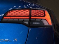 Tesla Model 3 / Model Y Brake Light 後尾燈 (蛇鱗)