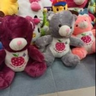 Teddy bear 50 cm offer