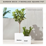 Fiberglass Square Pot Pasu Bulat Fiber Flower Pot Pasu Bunga Garden Deco Pasu Taman Office Deco Pasu
