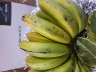 PISANG AMBON SUPER