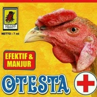 otesta ayam burung obat tetes mata telinga kuping radang kopok congek