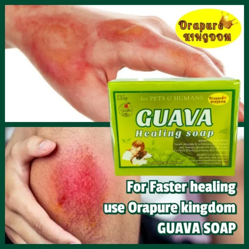 Guava soap orapure kingdom