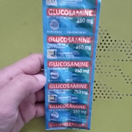 Glucosamine HJ (Joint &amp; Bone Health Supplement)
